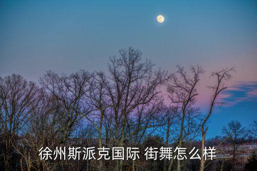 徐州斯派克国际 街舞怎么样