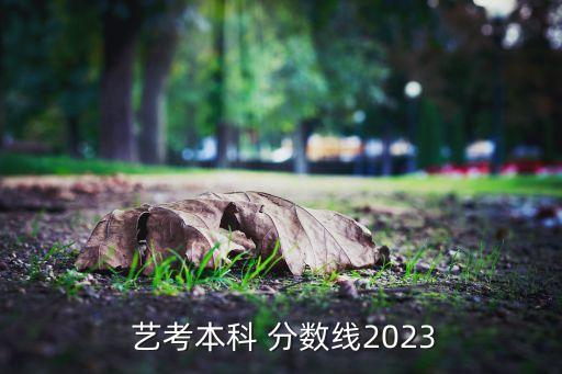  艺考本科 分数线2023