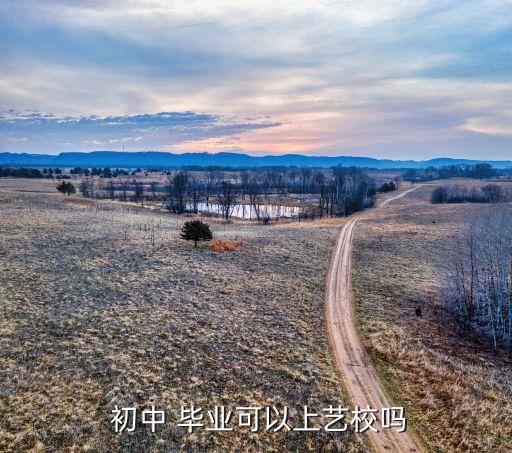 初中毕业学表演的学校好吗