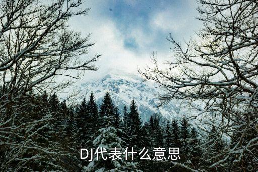  DJ代表什么意思