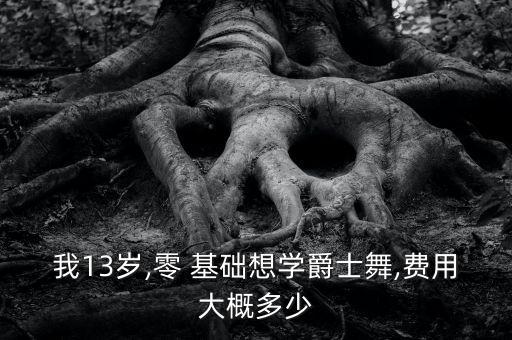 我13岁,零 基础想学爵士舞,费用大概多少