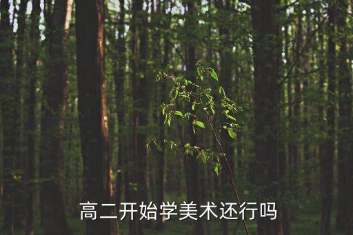 高二走艺术生好吗,高二还能不能走艺术生