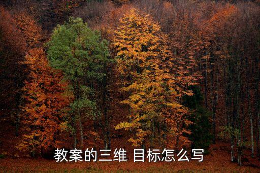 教案的三维 目标怎么写
