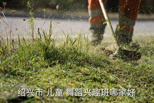 儿童舞蹈学校,深圳儿童舞蹈学校