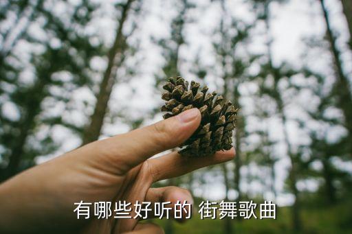 有哪些好听的 街舞歌曲