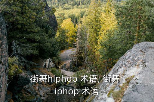  街舞hiphop 术语, 街舞hiphop 术语