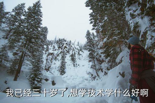 我已经三十岁了,想学技术学什么好啊