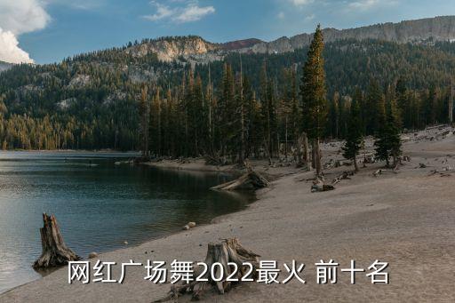 网红广场舞2022最火 前十名