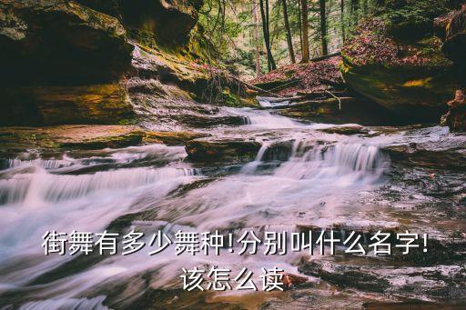  街舞有多少舞种!分别叫什么名字!该怎么读