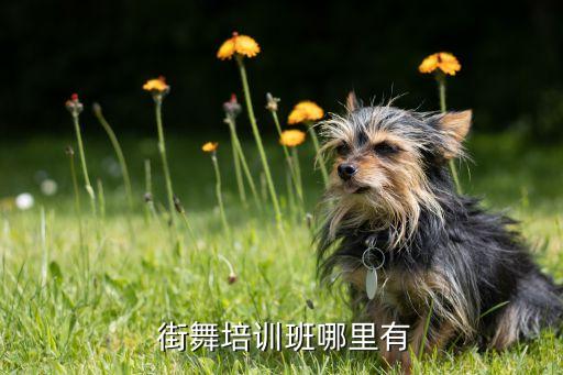  街舞培训班哪里有