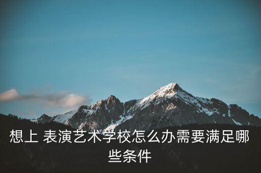 想上 表演艺术学校怎么办需要满足哪些条件