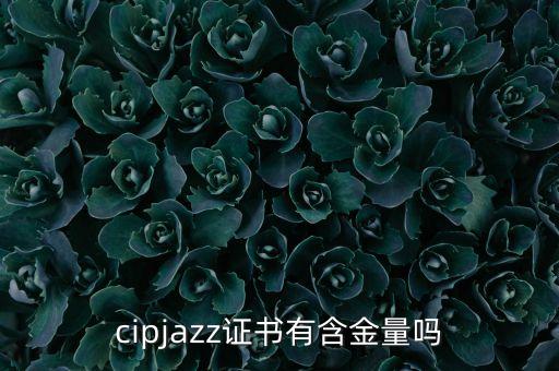 街舞师资证