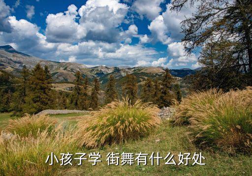 街舞带来的感受,在第壹街舞工作感受怎么样
