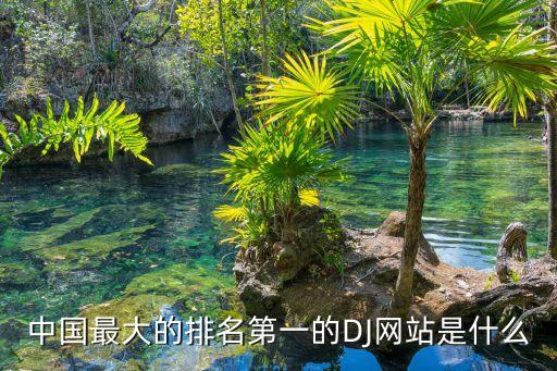 中国最大的排名第一的DJ网站是什么
