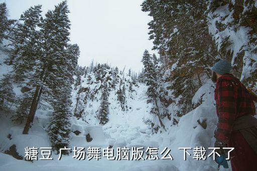  糖豆 广场舞电脑版怎么 下载不了