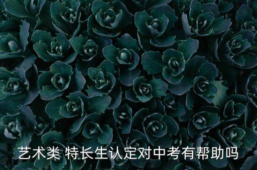 艺术类 特长生认定对中考有帮助吗
