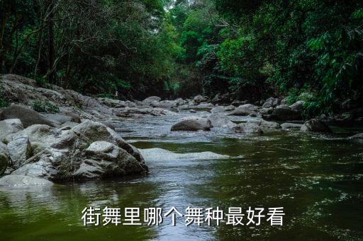  街舞里哪个舞种最好看