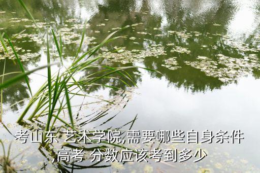 考山东 艺术学院,需要哪些自身条件,高考 分数应该考到多少