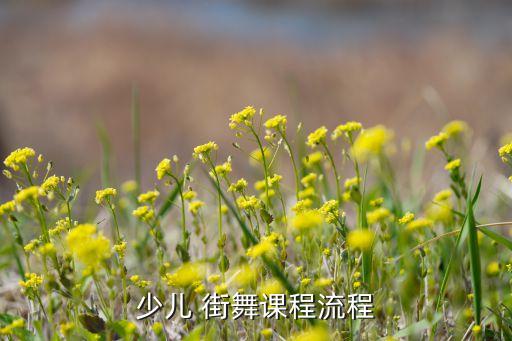 少儿 街舞课程流程