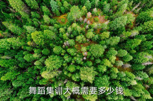 舞蹈集训大概需要多少钱
