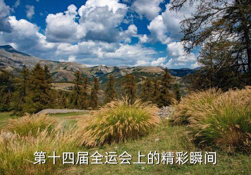 第十四届全运会上的精彩瞬间