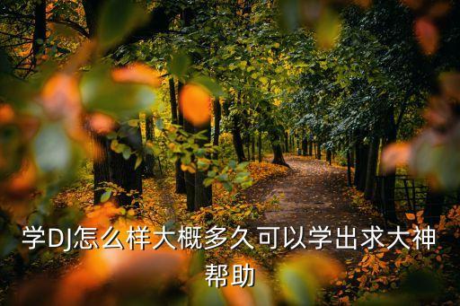 学DJ怎么样大概多久可以学出求大神帮助