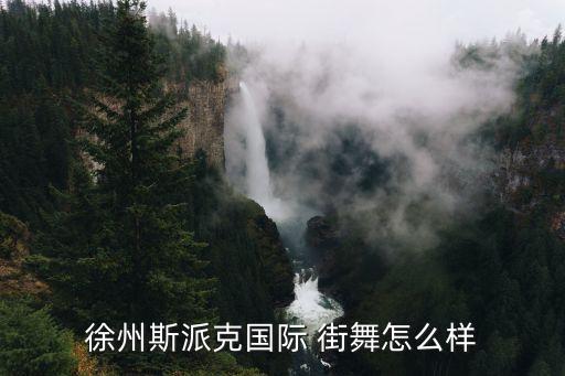 徐州斯派克国际 街舞怎么样