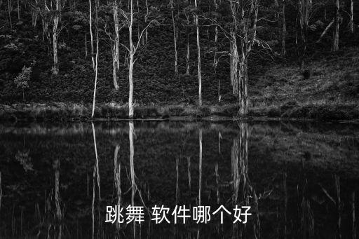 跳舞 软件哪个好
