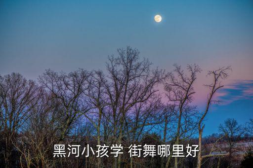 黑河小孩学 街舞哪里好