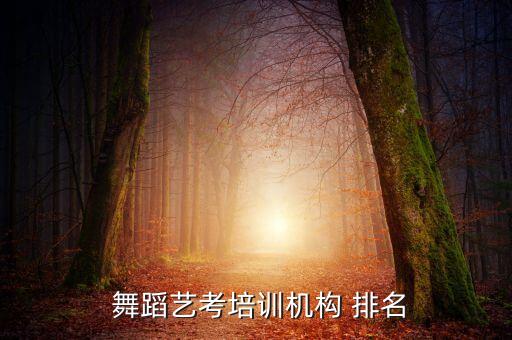 洛阳舞蹈培训班排名前十名,平顶山舞蹈培训班排名