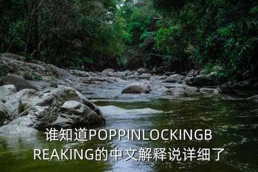 谁知道POPPINLOCKINGBREAKING的中文解释说详细了