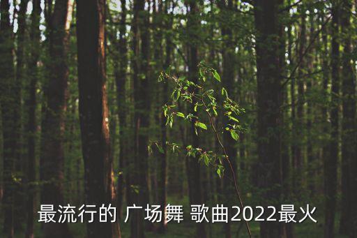 最流行的 广场舞 歌曲2022最火