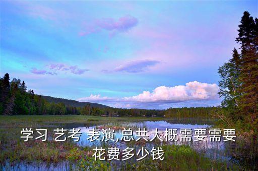 学习 艺考 表演,总共大概需要需要花费多少钱