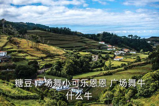  糖豆 广场舞小可乐恩恩 广场舞牛什么牛