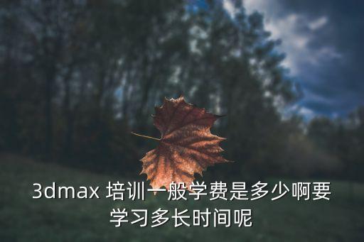 3dmax 培训一般学费是多少啊要学习多长时间呢