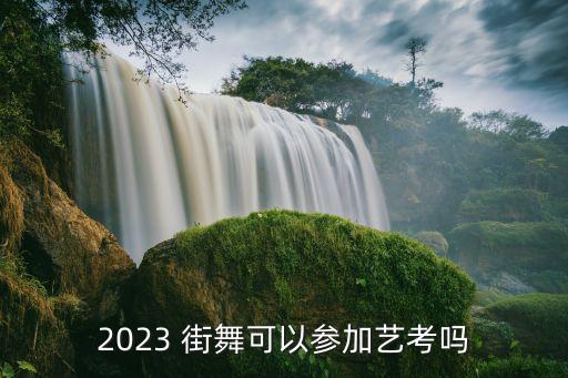 街舞专业可以考大学吗女生,街舞考大学属于什么专业
