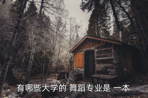有哪些大学的 舞蹈专业是 一本
