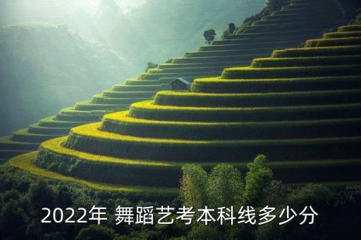 2022年 舞蹈艺考本科线多少分