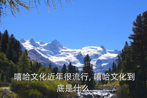  嘻哈文化近年很流行, 嘻哈文化到底是什么