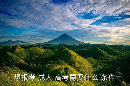 想报考 成人 高考需要什么 条件
