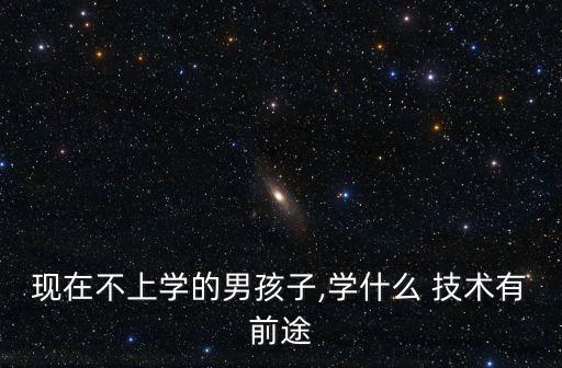 现在不上学的男孩子,学什么 技术有前途