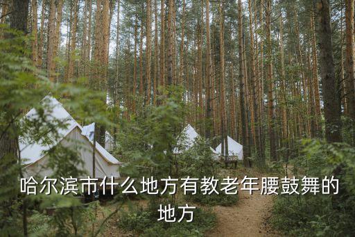  哈尔滨市什么地方有教老年腰鼓舞的地方