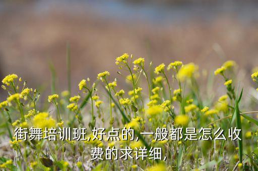 街舞培训班,好点的,一般都是怎么收费的求详细,