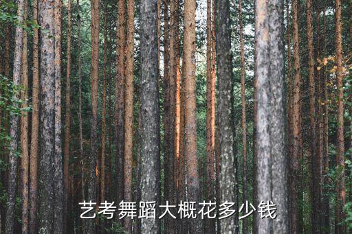  艺考舞蹈大概花多少钱