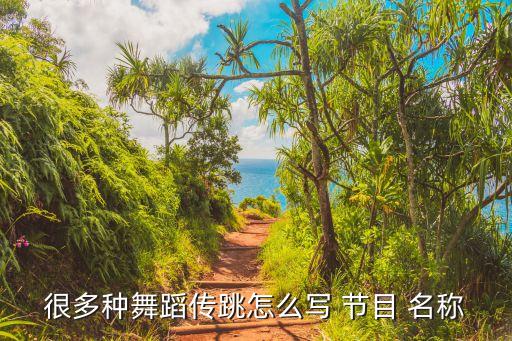 少儿街舞节目名称大全,街舞少儿街舞视频