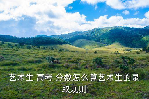 山东舞蹈类高考分数算法,舞蹈类艺术生高考分数怎么算