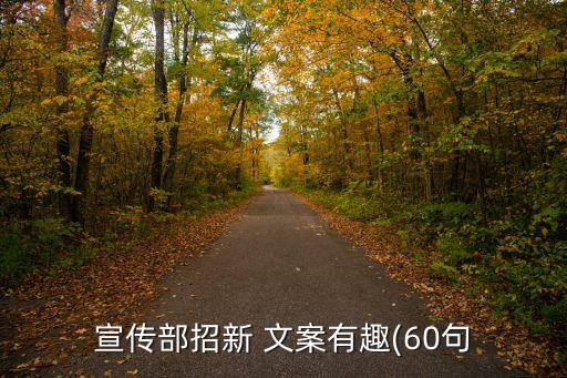 宣传部招新 文案有趣(60句