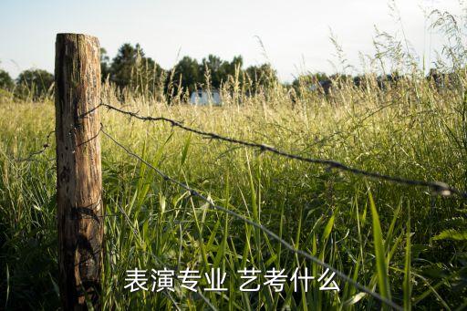 表演专业 艺考什么