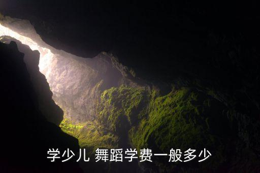 学少儿 舞蹈学费一般多少