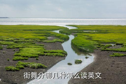 街舞分哪几种怎么读英文